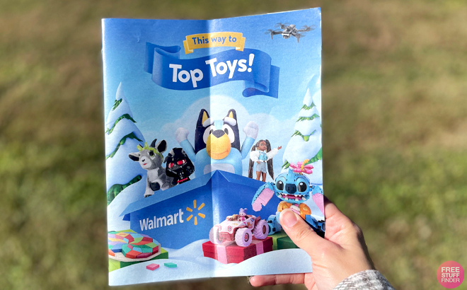 A Hand Holding Walmarts Flyer for Find Your Top of the List Thing Toys