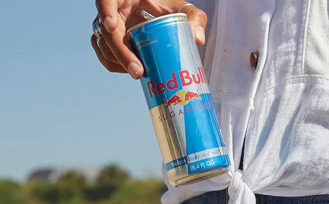 A Person Holding Red Bull Sugar Free Energy Drink