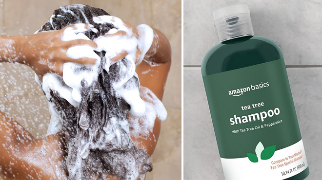 A Person Using Amazon Basics Tea Tree Shampoo