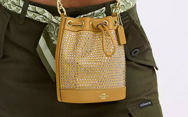 A Person Wearing the Coach Outlet Mini Bucket Bag in Gold