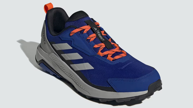 Adidas Mens Terrex Hiking Shoes 1