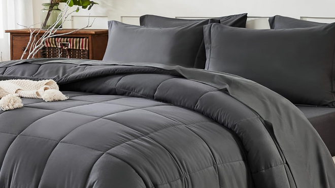 Aemicion Queen Comforter Set