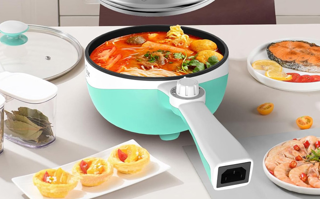 Audecook Mini Electric Hot Pot