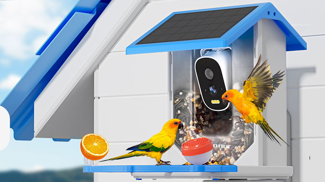 Azonanor Smart Bird Feeder with Camera 1