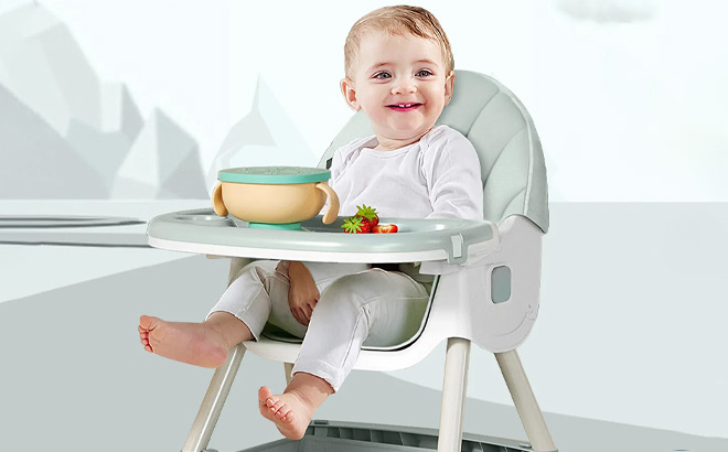 Baby Sits in Harppa 4 in 1 Convertible High Chair