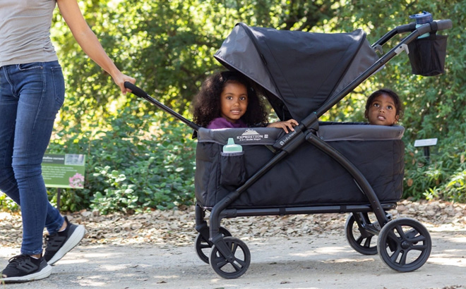 Baby Trend Expedition LTE 2 in 1 Stroller Wagon