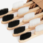 Biodegradable Bamboo Toothbrushes 10 Piece