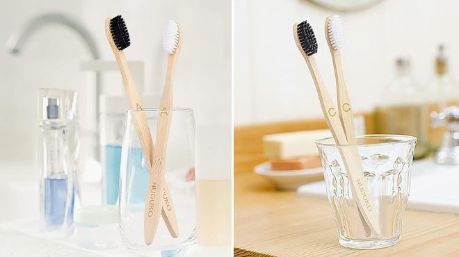 Biodegradable Bamboo Toothbrushes