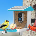 Bird Feeder with Camera