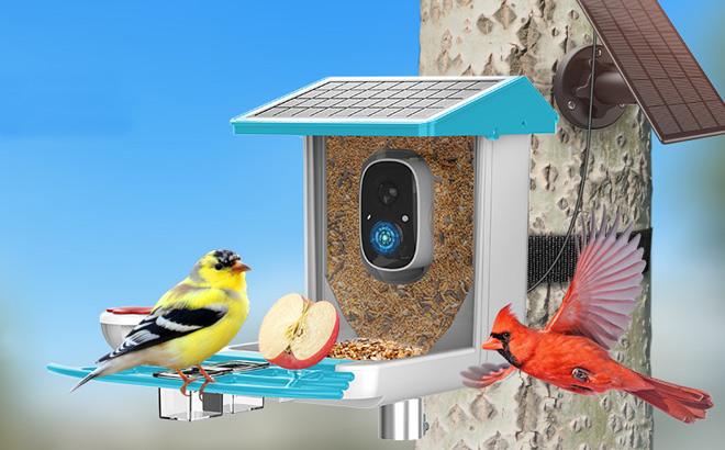 Bird Feeder with Camera