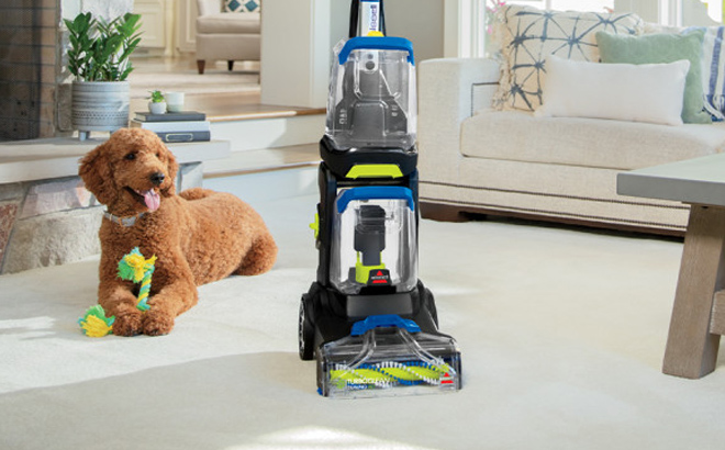 Bissell TurboClean DualPro Pet Carpet Cleaner