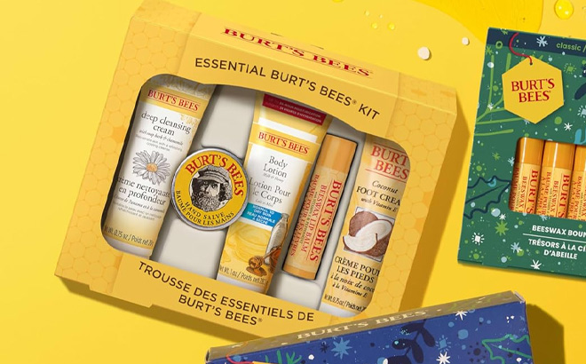 Burts Bees Essential Everyday Beauty Set