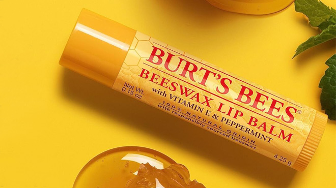 Burts Bees Lip Balm in Beeswax Flavor