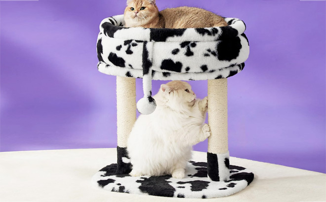 Cat Tree Tower