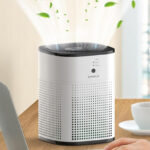 Chivalz Air Purifier