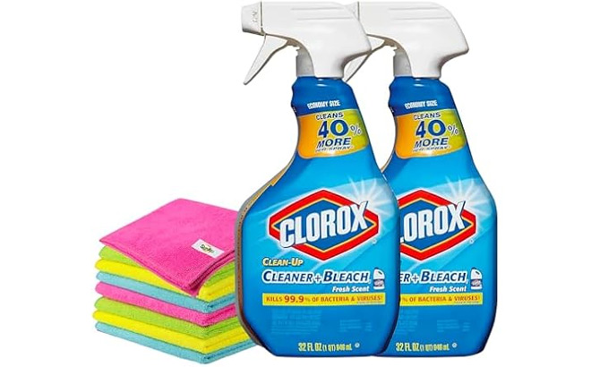 Clean Up Cleaner with Bleach 2 Pack