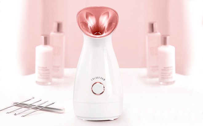 Colorform Facial Steamer