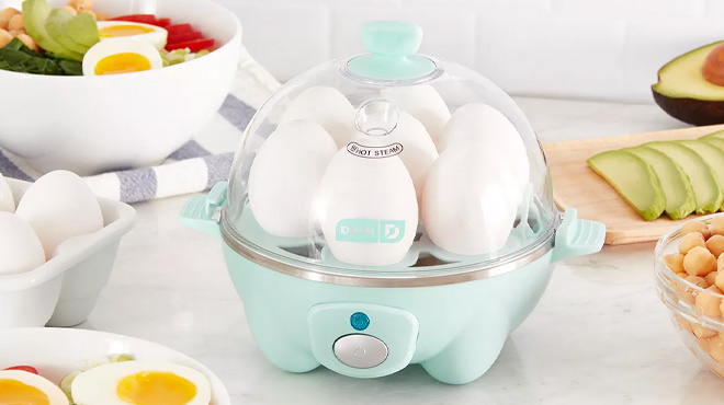 Dash Everyday Egg Cooker