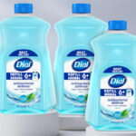 Dial Antibacterial Liquid Hand Soap Refills in Spring Water Scent