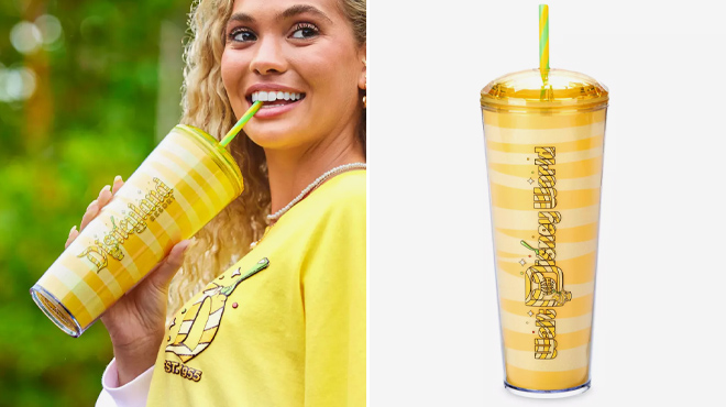 Disney Eats Pineapple Swirl Starbucks Tumblers