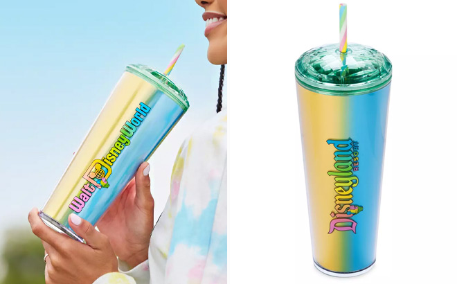 Disney Eats Shaved Ice Starbucks Tumbler with Straw – Walt Disney World