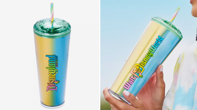 Disney Eats Shaved Ice Starbucks Tumbler with Straw