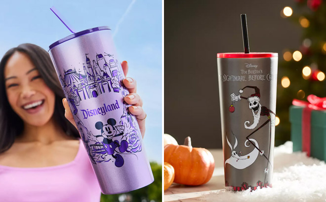 Disneyland Stainless Steel Starbucks Tumbler with Straw