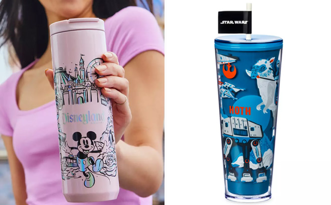 Disneyland Stainless Steel Starbucks Water Bottle