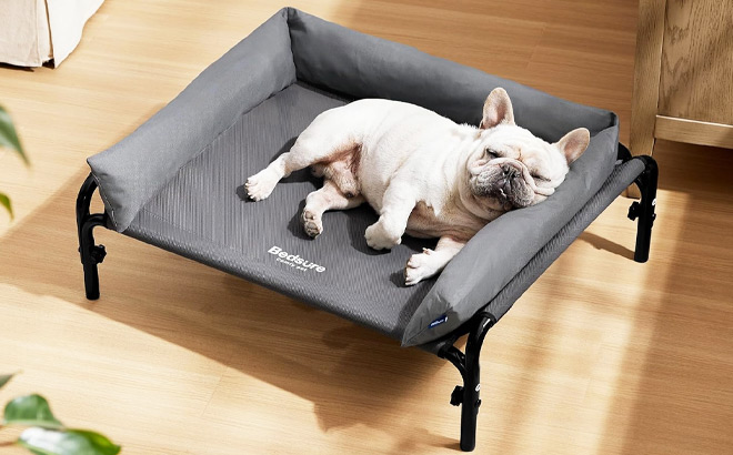 Dog Bed