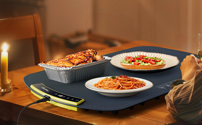 Electric Warming Tray