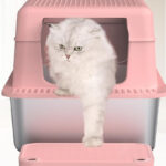 Erinaik Stainless Steel Cat Litter Box in Pink Color