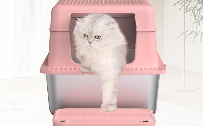 Erinaik Stainless Steel Cat Litter Box in Pink Color