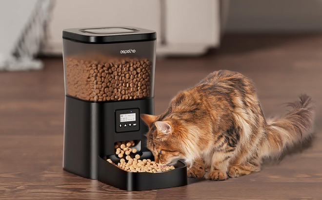 Espelho Automatic Cat Feeder