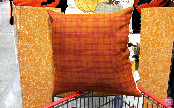 Fall Decorative Pillows