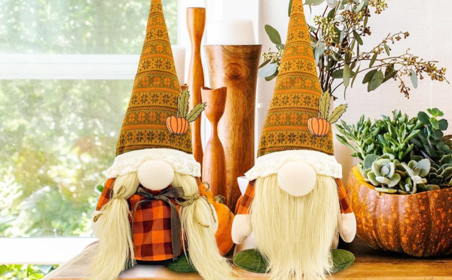 Fall Gnomes Plush Decor