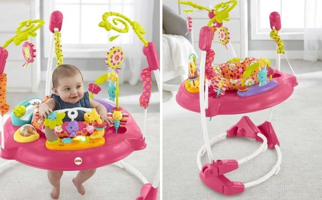 Fisher Price Jumperoo Baby Bouncer