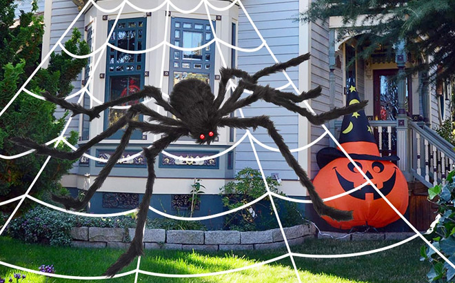 Halloween 200 inch Spider Web