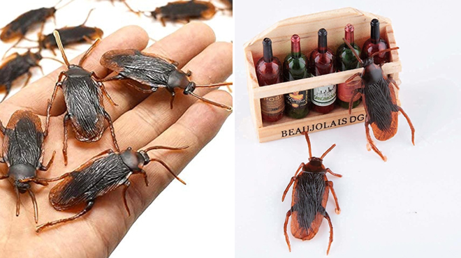 Halloween Fake Roaches Decoration