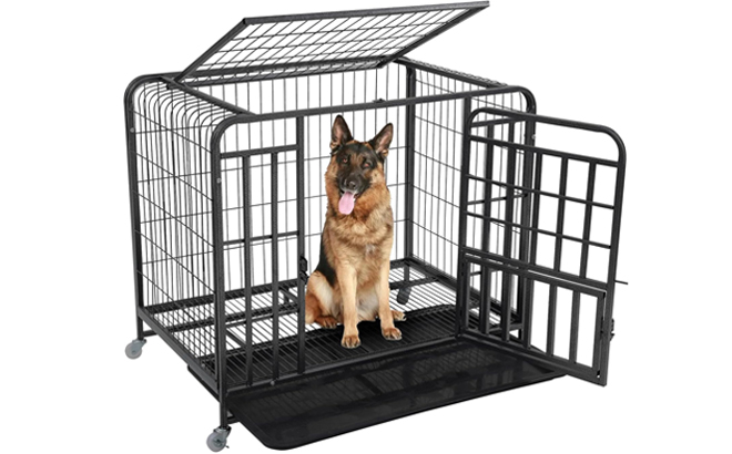 Heavy Duty 2 Door Small Dog Crate