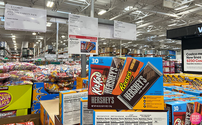 Hersheys Candy Bar 30 count at Costco