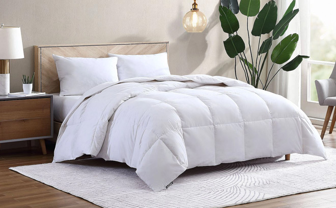 Hotel Suite Feather Comforter Set with Pillows