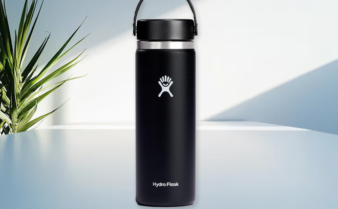 Hydro Flask 20 Ounce Wide Mouth Stainless Steel Bottle