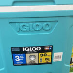 Igloo 30 Quart Profile II Cooler at CVS