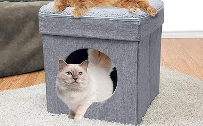 Kitty City Large Cat Bed