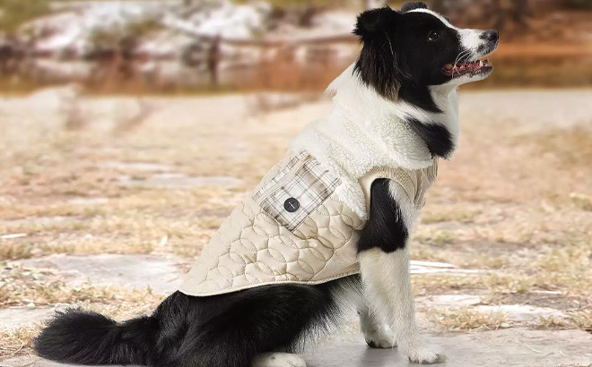 Koolaburra by UGG Carson Reversible Pet Vest