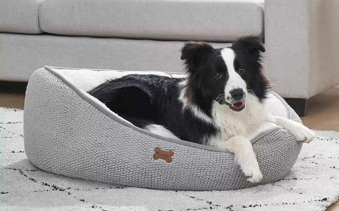 Koolaburra by UGG Jeff Pet Bed