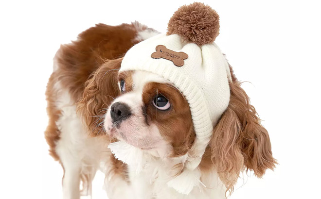 Koolaburra by UGG Kyler Knit Pet Hat