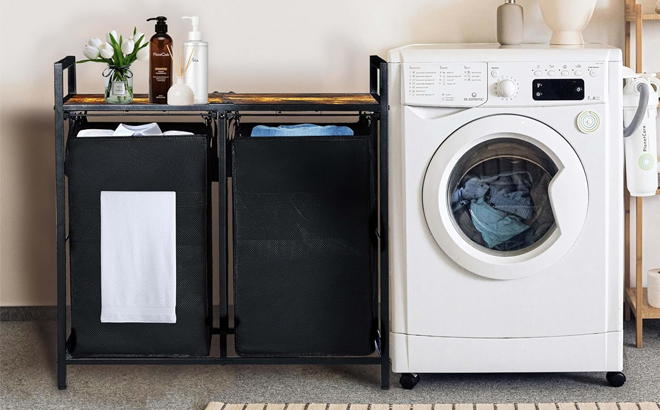 Laundry Sorter with Upgraded Pull Out Removable Laundry Bag