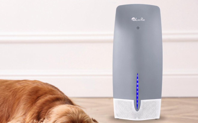 LivePure True HEPA Air Purifier