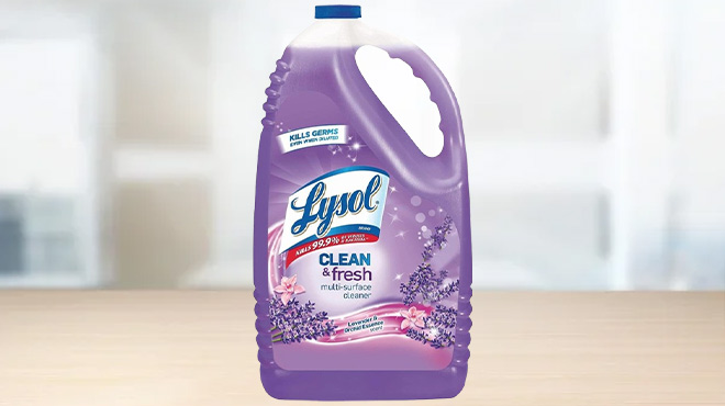 Lysol Multi Surface Cleaner in Lavender and Orchard Essence